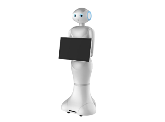 reception robot