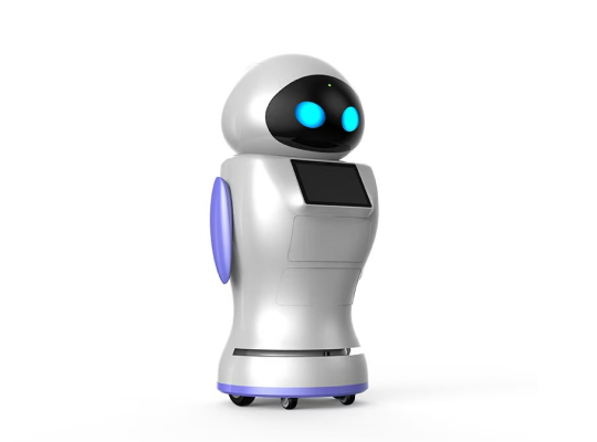 education robot
