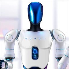 Humanoid Robot